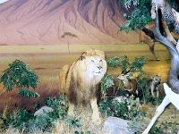 photos 2000-200901012